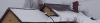dach_5